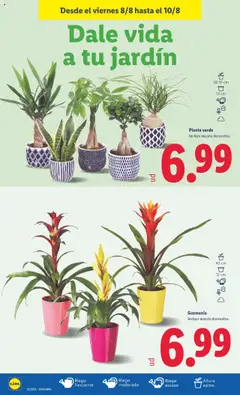 Lidl catálogo MAD │ válido desde el 04.08.2025 | Página: 44