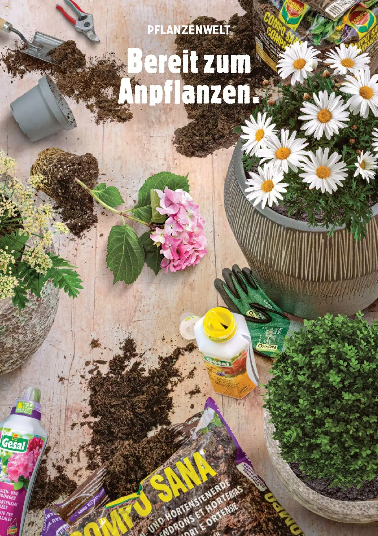 Jumbo Aktionen Dein Garten 2025 ab 21.02.2025 | Seite: 8