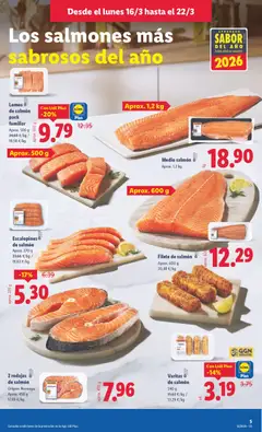 Vista previa Filete de salmón, Aprox. 600 g válido desde el 16.03.2026 | Página: 5