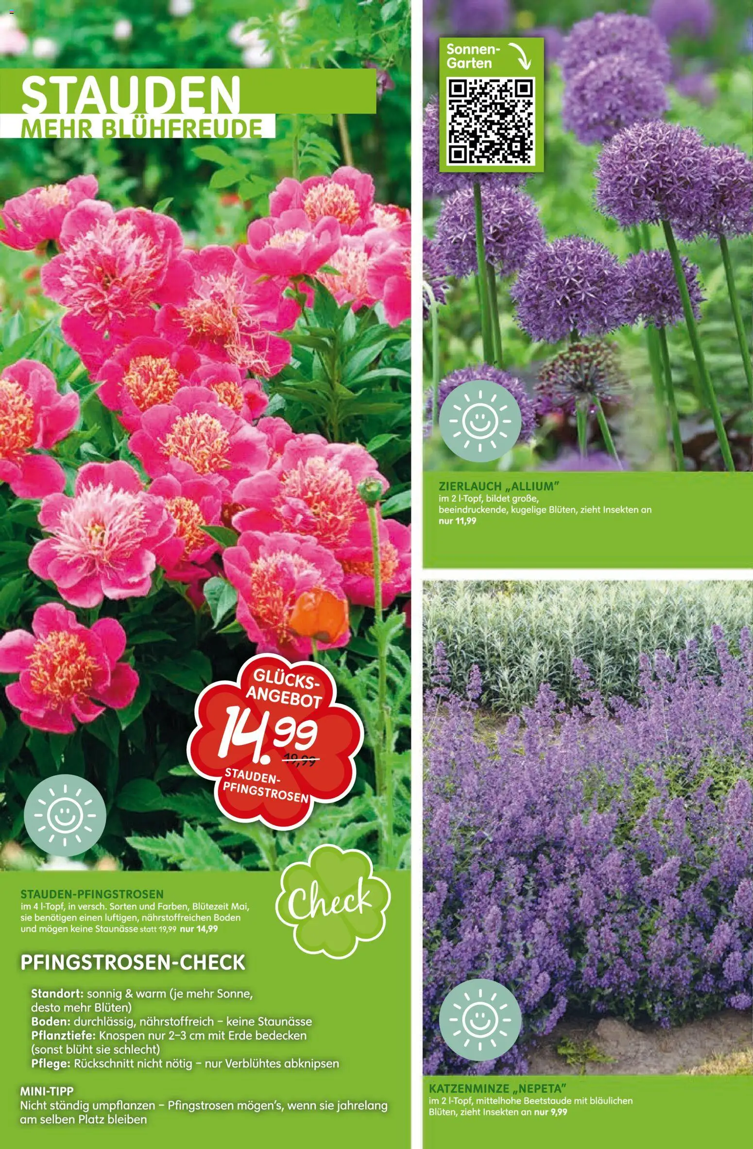 Blumen Risse Prospekt Blumenmarkt – gültig ab 16.04.2026 | Seite: 14