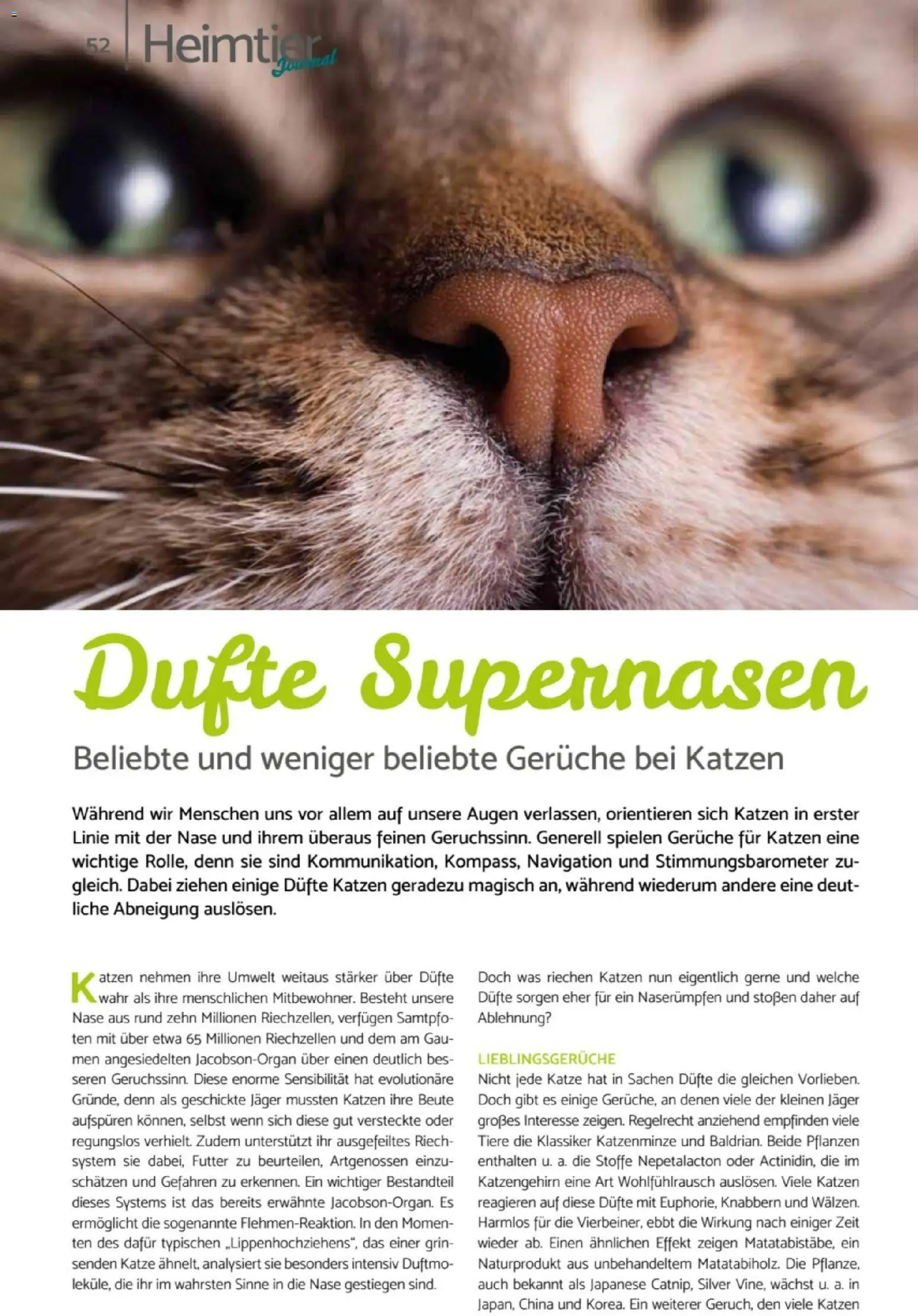 zookauf  Heimtier Journal – gültig ab 01.02.2026 | Seite: 52 | Produkte: Navigation