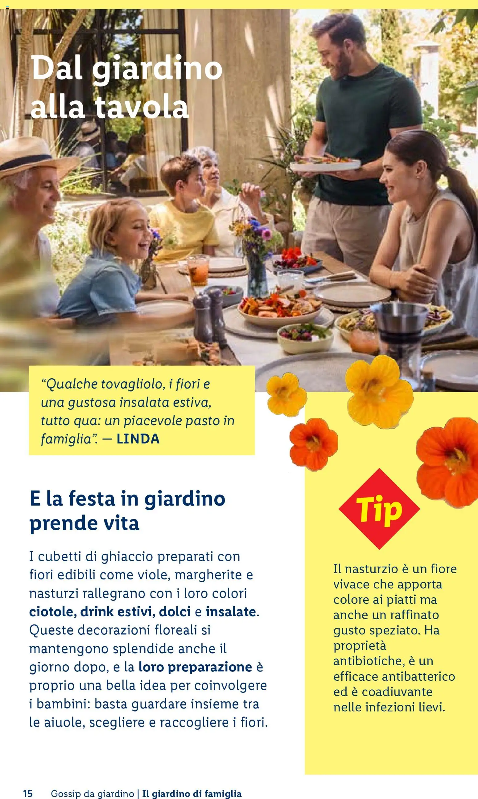 Volantino Lidl del 23.04.2026 | Pagina: 15 | Prodotti: Insalata, Decorazioni