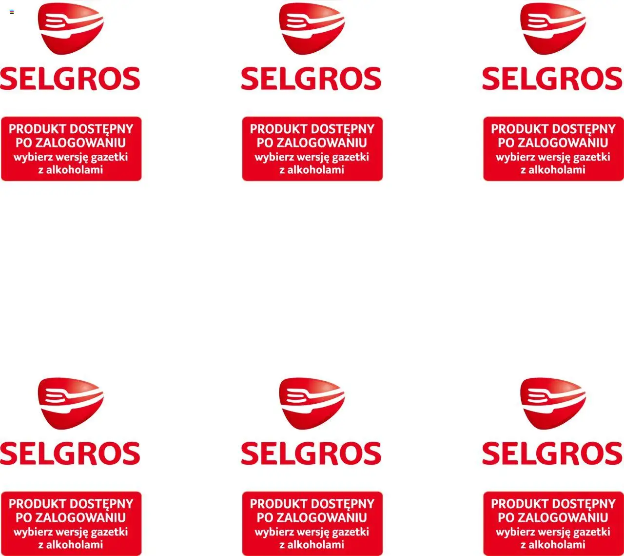 Selgros cash&carry Gazetka od 22.05.2025 | Strona: 29