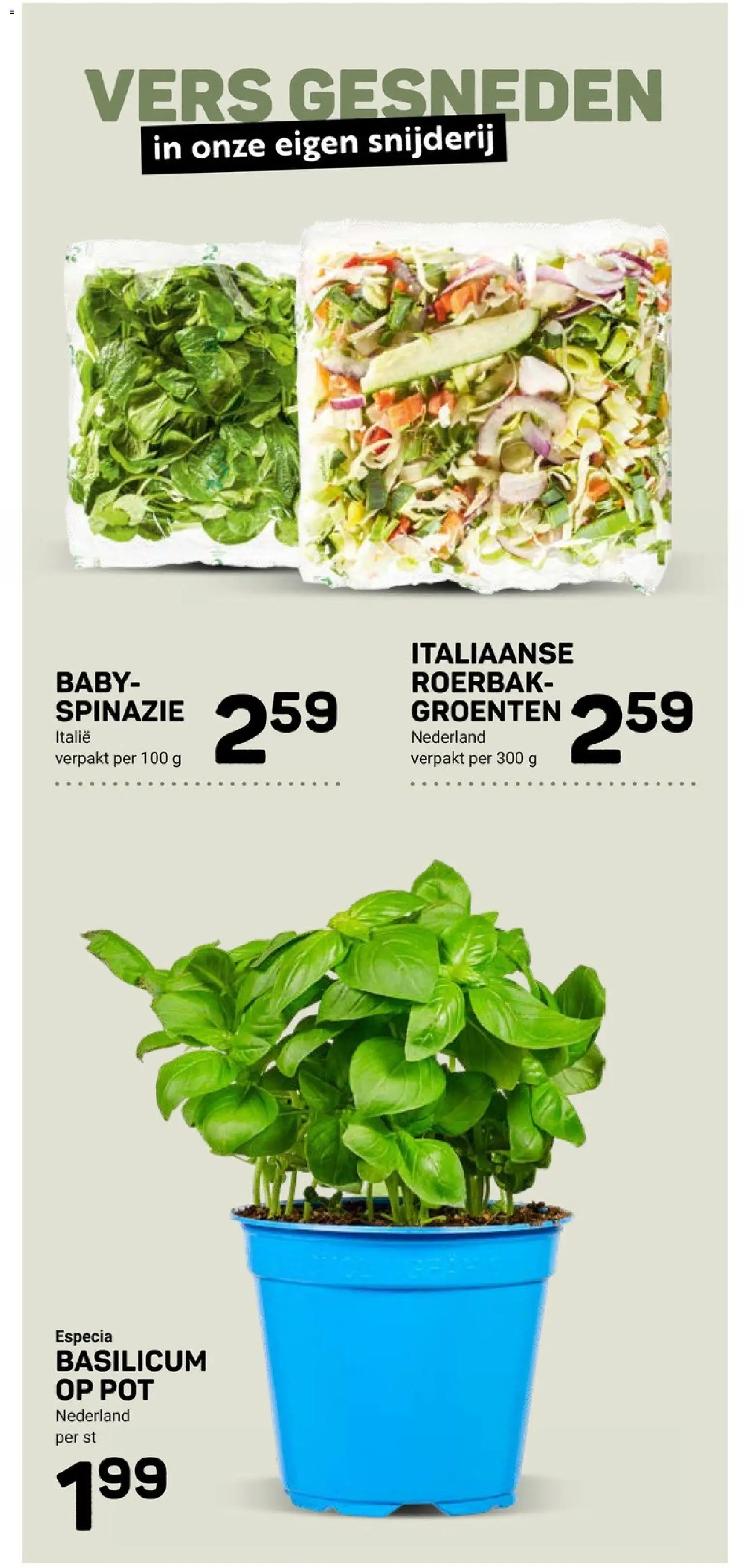 {H1} | Pagina: 10 | Producten: Spinazie, Pot, Groenten