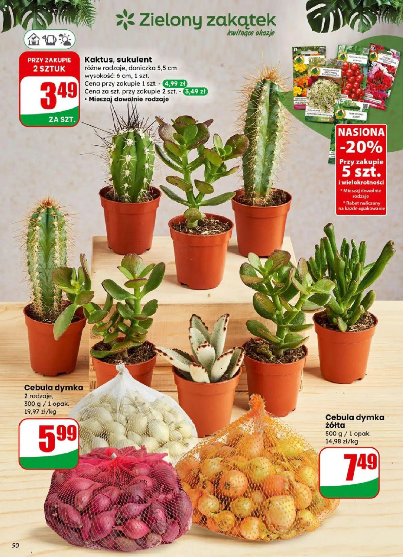 Dino Gazetka od 07.01.2026 | Strona: 50 | Produkty: Nasiona, Doniczka