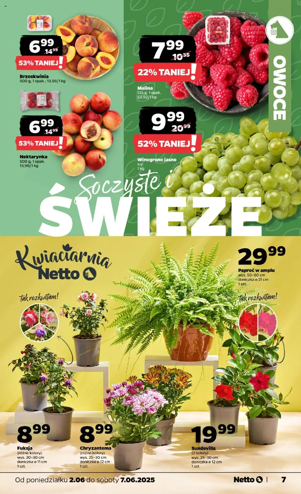 Netto gazetka - Spożywcza od 02.06.2025 | Strona: 7 | Produkty: Brzoskwinia, Nektarynka, Paproć, Owoce