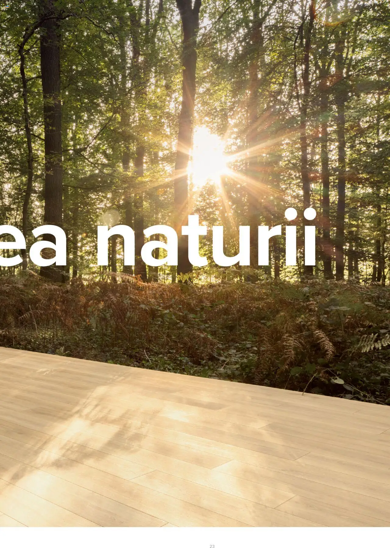 Noul catalog Proges – valabil de la 01.01.2023 | Pagină: 24