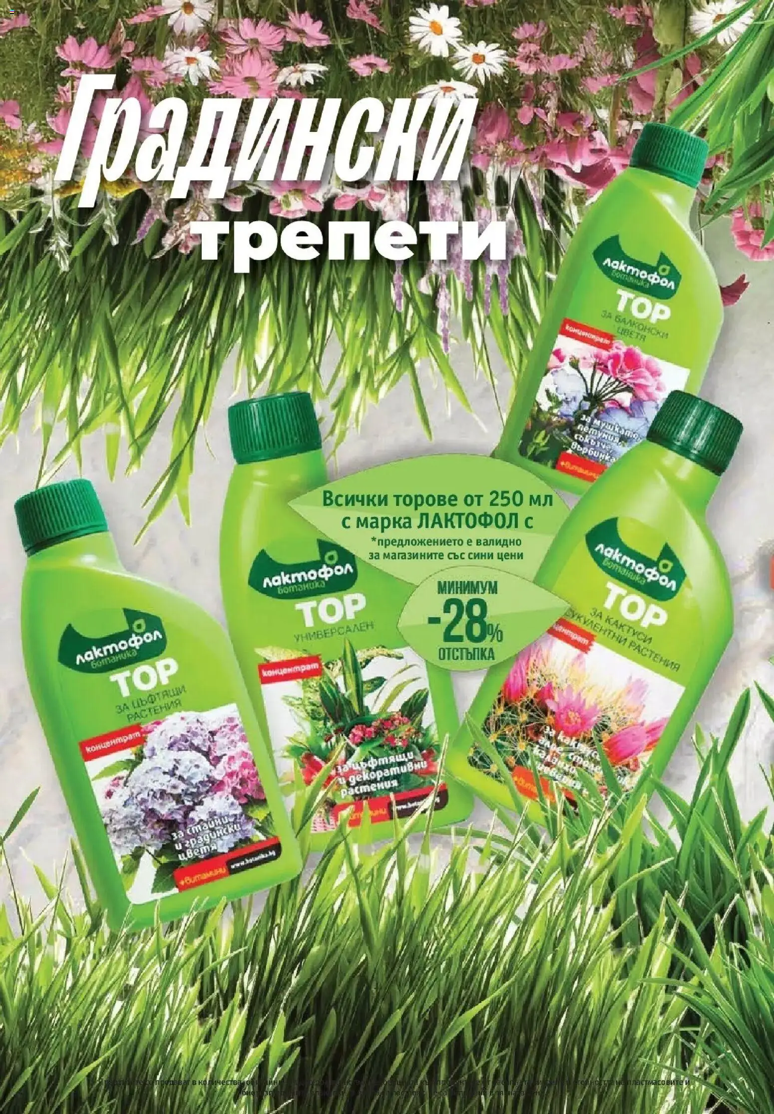 {H1} | Страница: 4 | Продукти: Стол