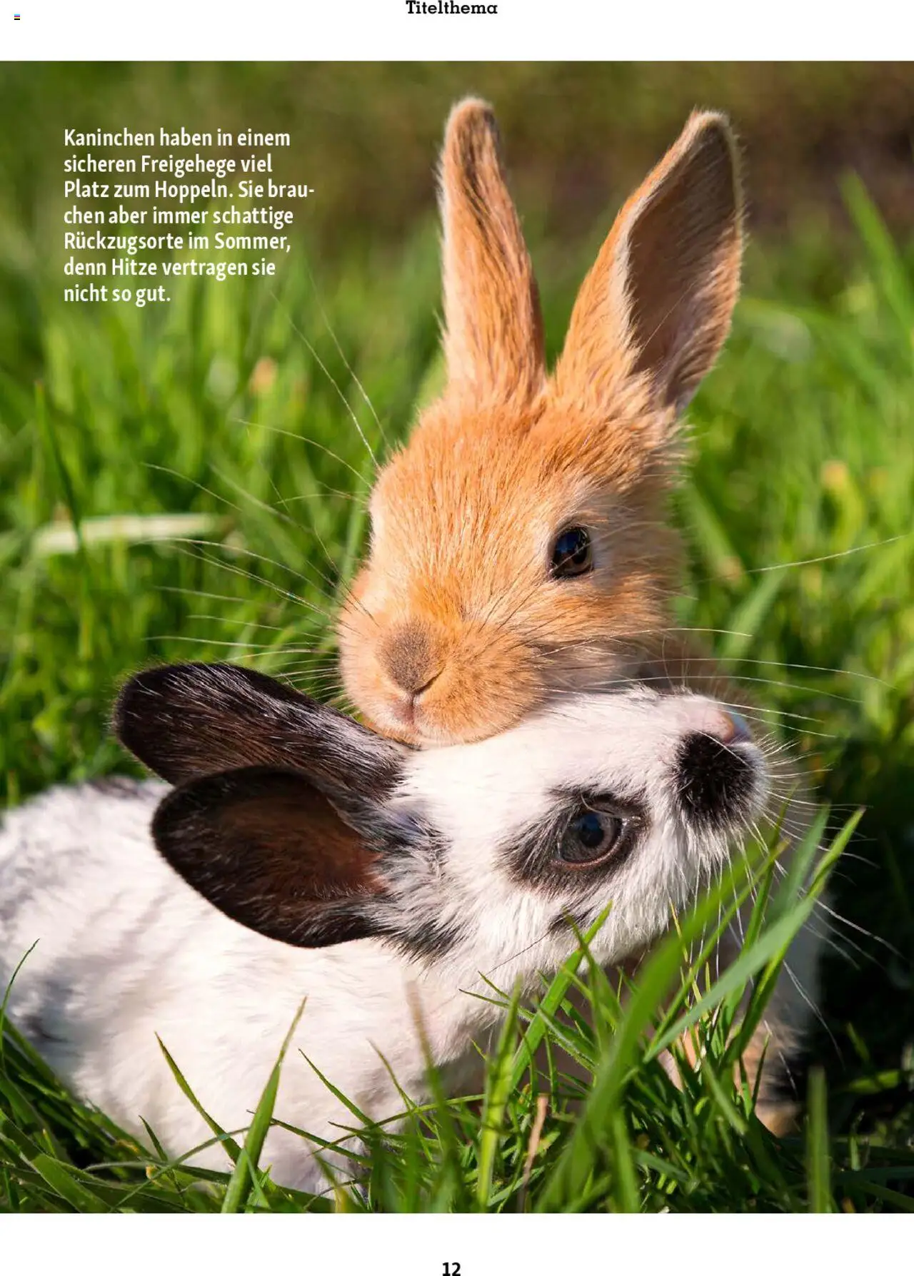 Fressnapf Magazin ab 01.07.2025 | Seite: 12