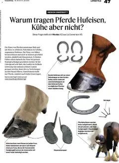 Coop Magazin ab 10.07.2025 | Seite: 47 | Produkte: Eisen