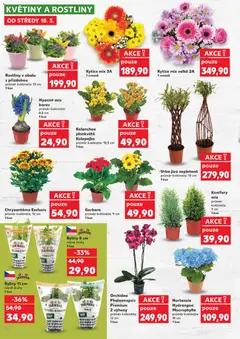 Náhled letáku Kaufland leták od 18.03.2026 | Strana: 16