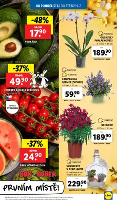 Lidl leták od 07.07.2025 | Strana: 9 | Produkty: Květináče, Rajčata, Cherry rajčata, Lahve