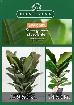 Eksempel på tilbudsavis Plantorama - Tilbudsavis fra butik Plantorama gyldig fra 10.08.2025