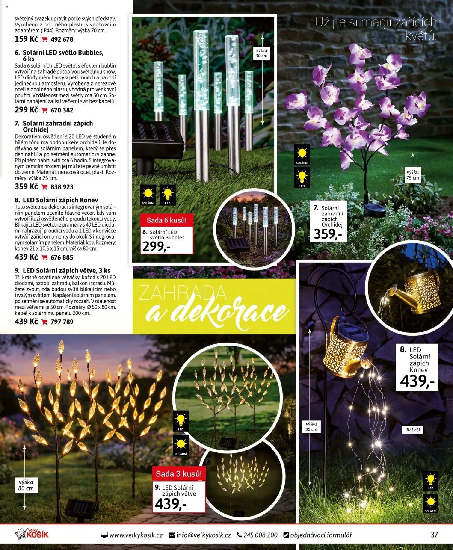 Velký Košík katalog březen 2026 od 01.03.2026 | Strana: 37 | Produkty: Orchidej, Zahrada, Zápich, Dekorace