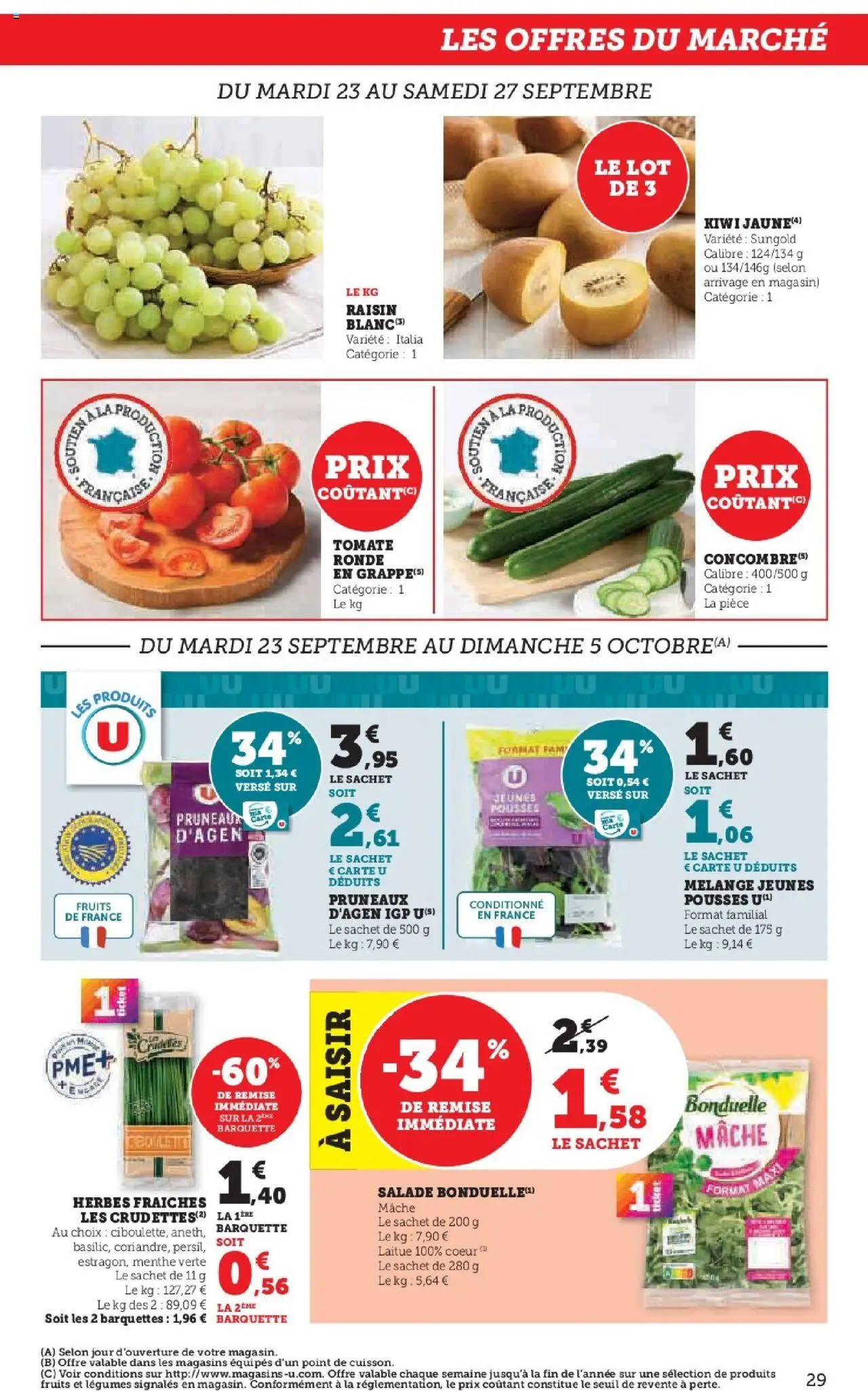  | Page: 29 | Produits: Salade, Menthe, Laitue, Kiwi
