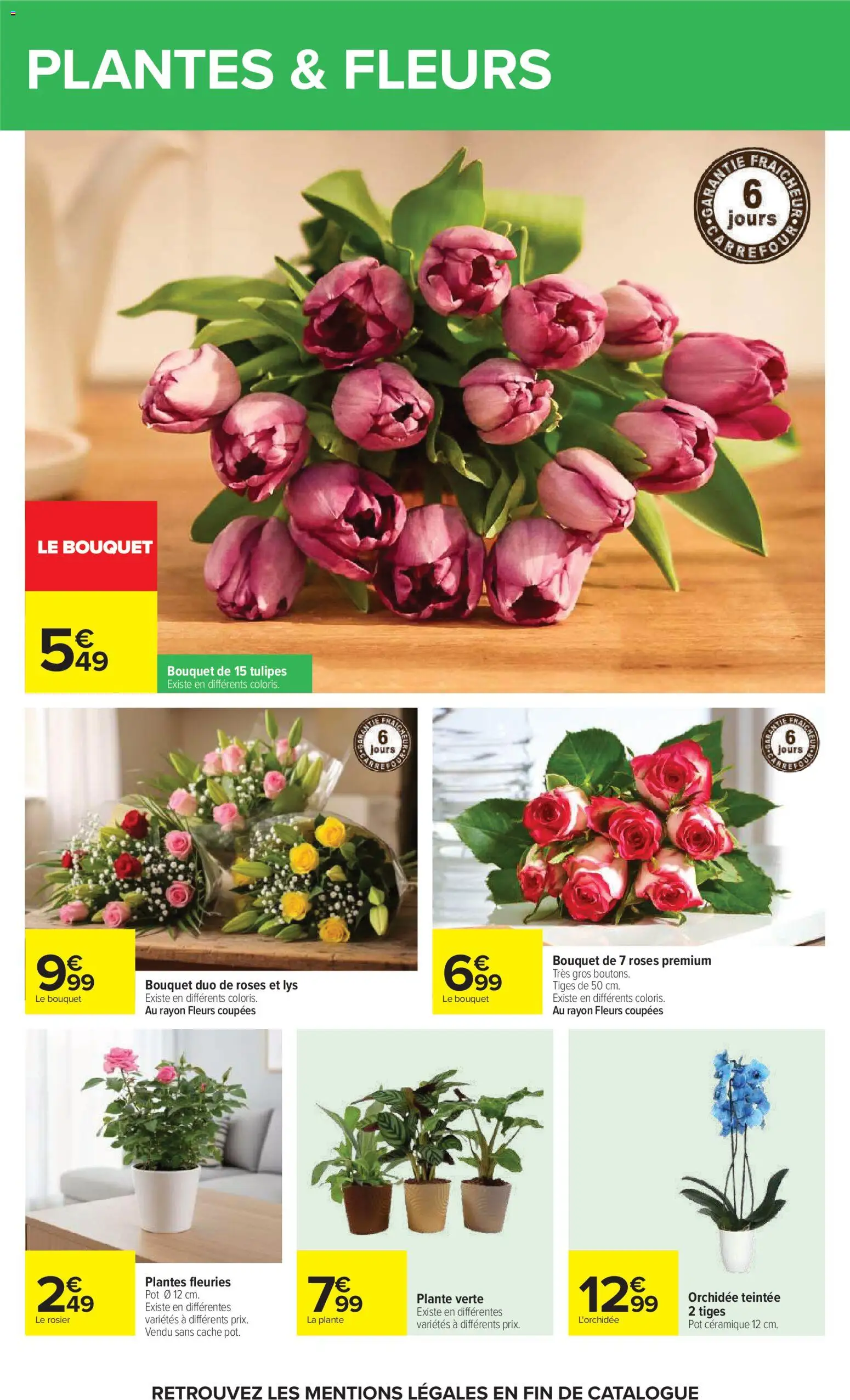 {H1} | Page: 77 | Produits: L'orchidée, Plantes, Plante verte, Tulipes