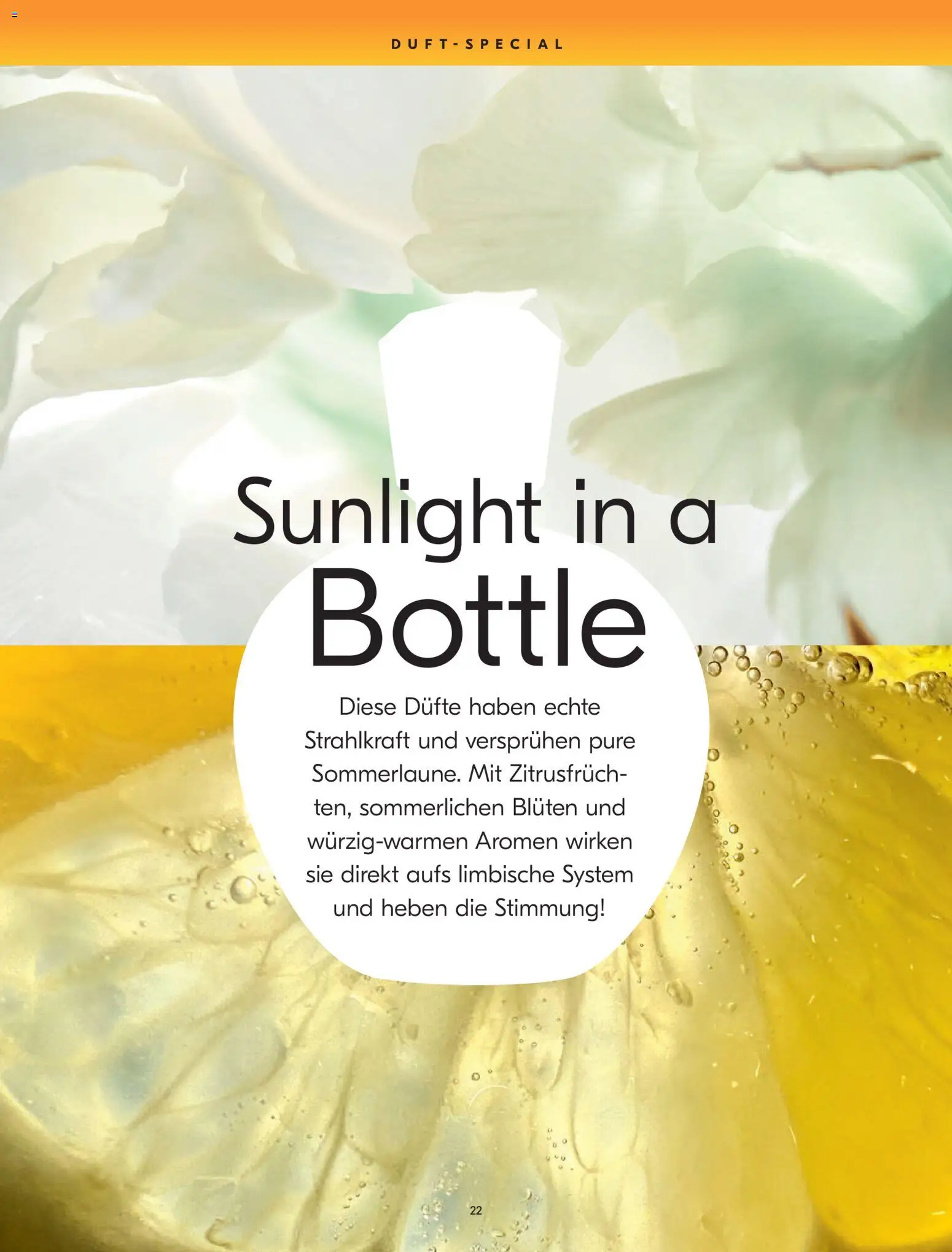 Import Parfumerie aktionen – gültig ab 23.04.2026 | Seite: 22 | Produkte: Duft