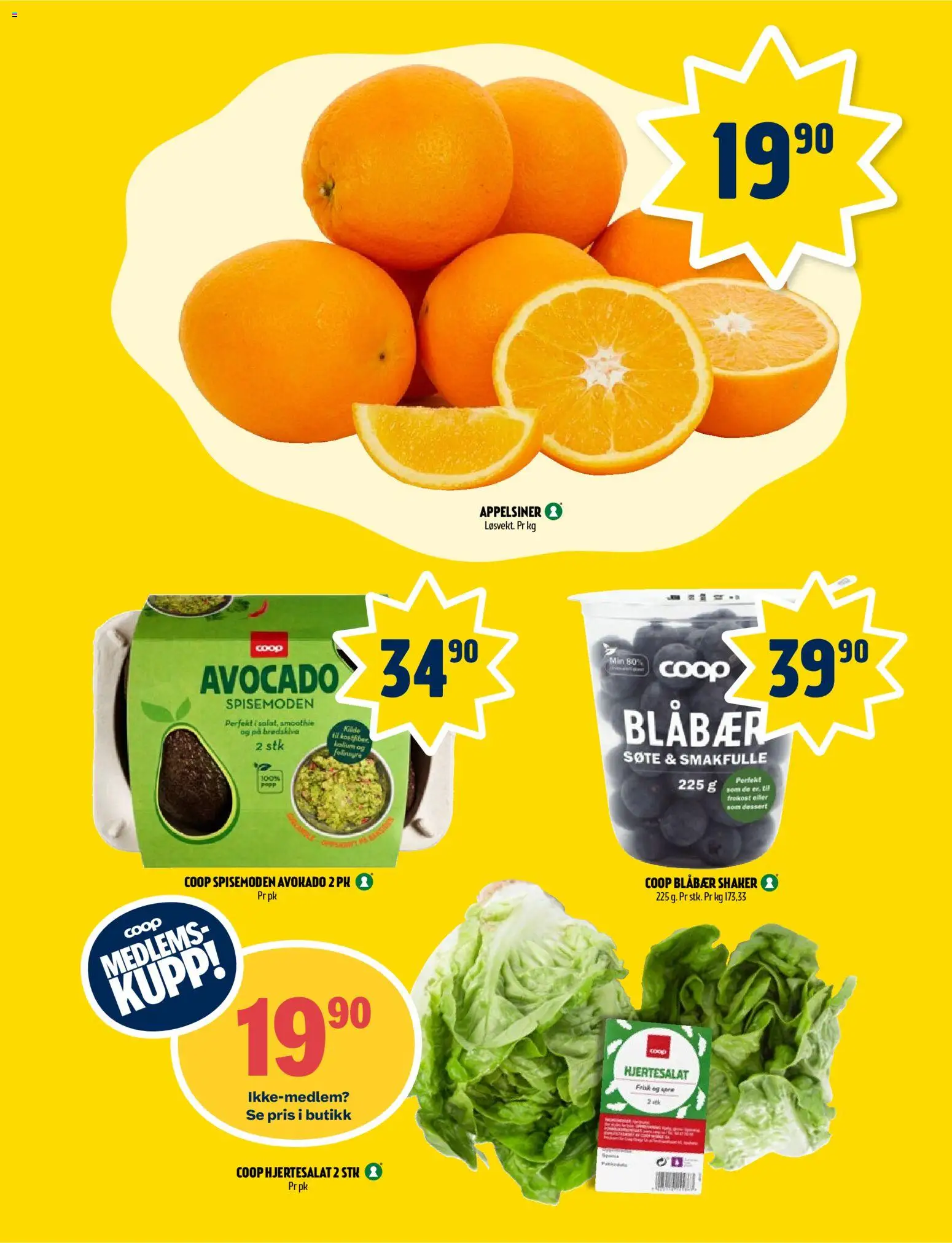 {H1} | Side: 4 | Produkter: Blåbær, Замок, Avokado, Павільйон