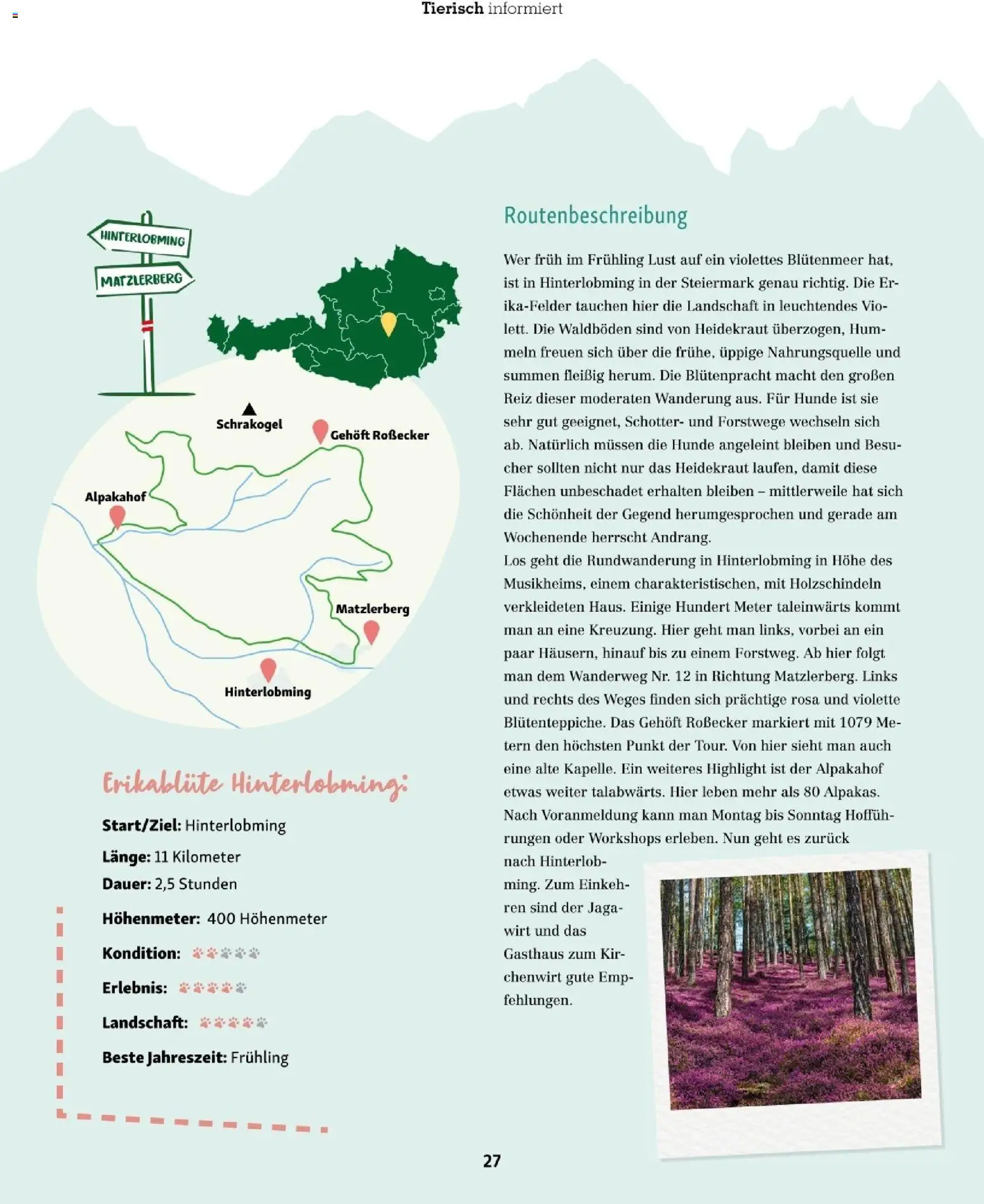 Fressnapf Friends 02/26 gültig ab 01.03.2026 | Seite: 27