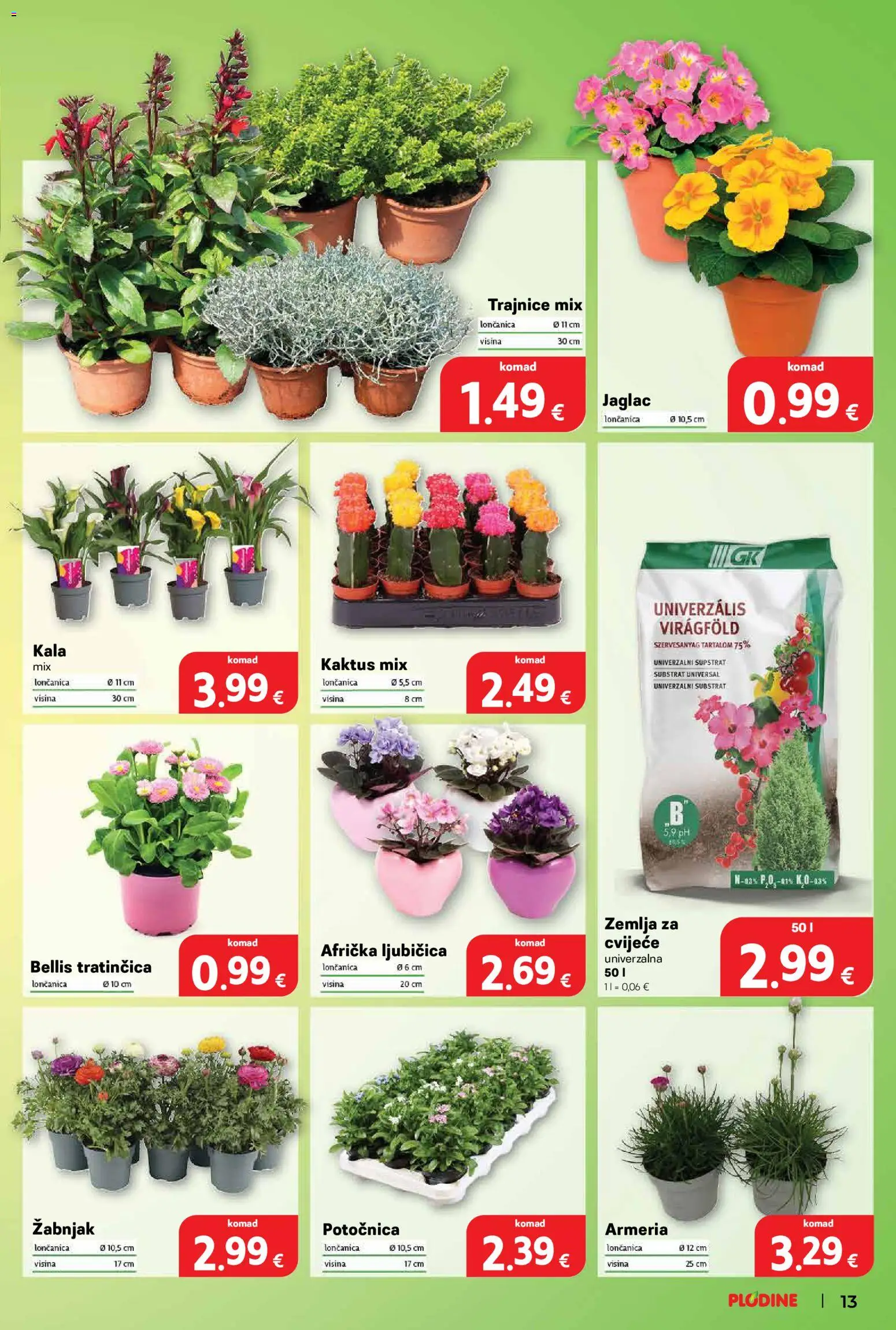 Plodine katalog | vrijedi od 25.02.2026 | Stranica: 13