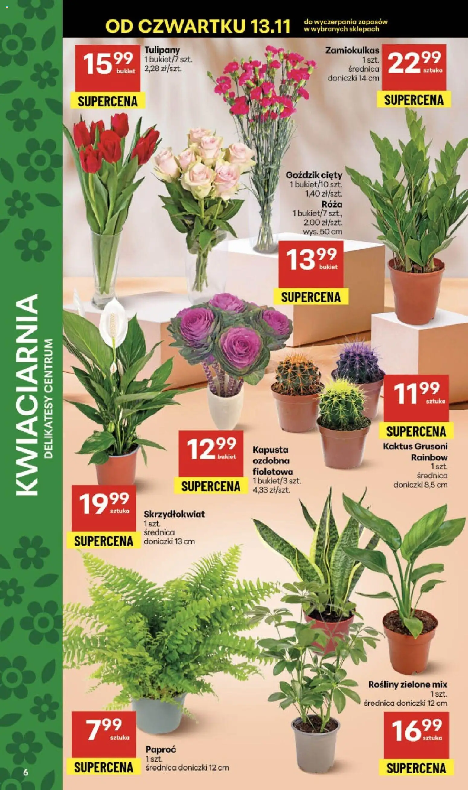 Delikatesy Centrum Gazetka od 13.11.2025 | Strona: 6 | Produkty: Kapusta, Goździk, Paproć, Doniczki