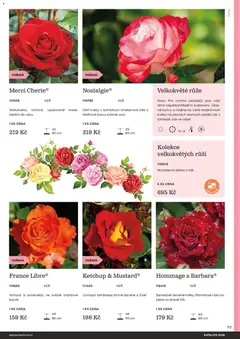 Náhled letáku Starkl katalog od 25.02.2026 | Strana: 99 | Produkty: Merci, Barvy