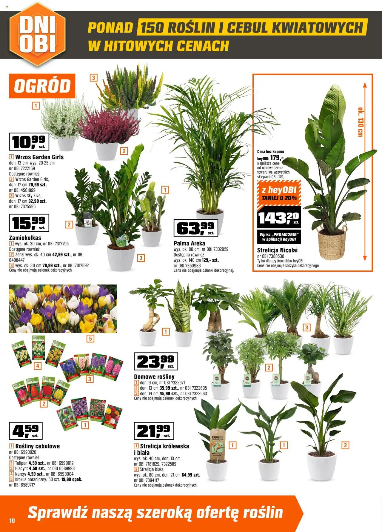 OBI Gazetka od 10.09.2025 | Strona: 10 | Produkty: Zamiokulkas, Wrzos, Rosliny