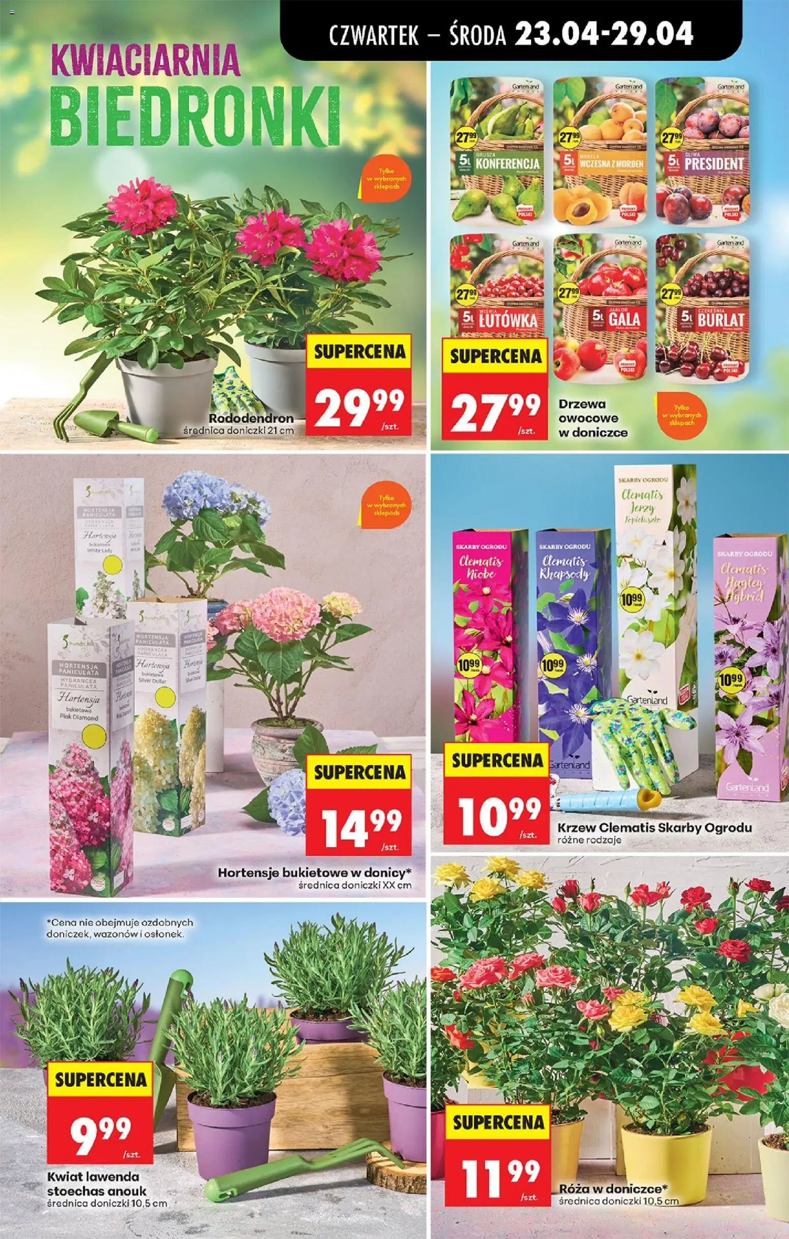 Biedronka gazetka od czwartku od 23.04.2026 | Strona: 93 | Produkty: Doniczki