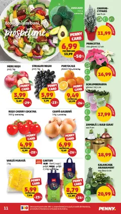Ofertele PENNY valabile de la 17.12.2025 | Pagină: 11