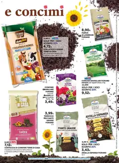 Anteprima del volantino Ipercoop Aria di Primavera - Piemonte catalogo valido a partire dal 26.02.2026 | Pagina: 7 | Prodotti: Concime, Data, Gerani, Terriccio