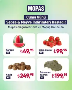 17.04.2026 tarihinden itibaren geçerli olan Mopaş kataloğu önizlemesi