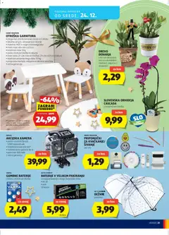 Hofer SI - Katalog - Pregled kataloga iz trgovine Hofer SI, vrijedi od 18.12.2025 | Stranica: 31 | Proizvodi: Orhideja, Baterije