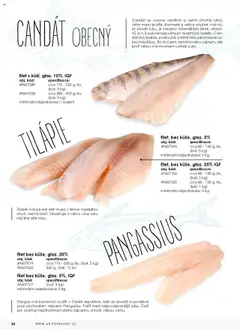 Náhled letáku CANDÁT OBECNÝ filet s kůží, glaz. 10%, IQF, Filet s kůží, glazovaný 10%, IQF, cca 170-230 g/ks, (bal. 5 kg) nebo cca 300-500 g /ks, (bal. 5 kg) od 01.01.2025 | Strana: 42