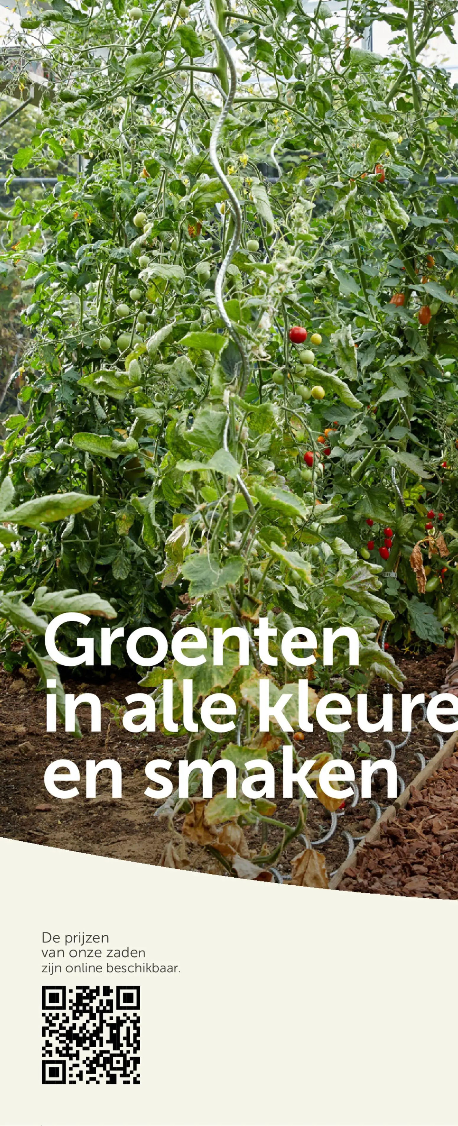 {H1} | Pagina: 2 | Producten: Groenten