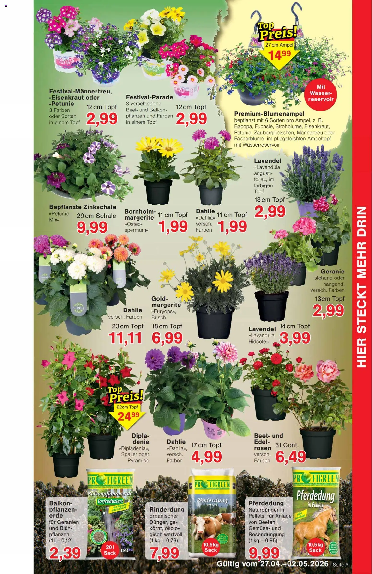 Wiglo Wunderland Prospekt – gültig ab 27.04.2026 | Seite: 7 | Produkte: Geranien, Wasser, Gemüse, Lavendel