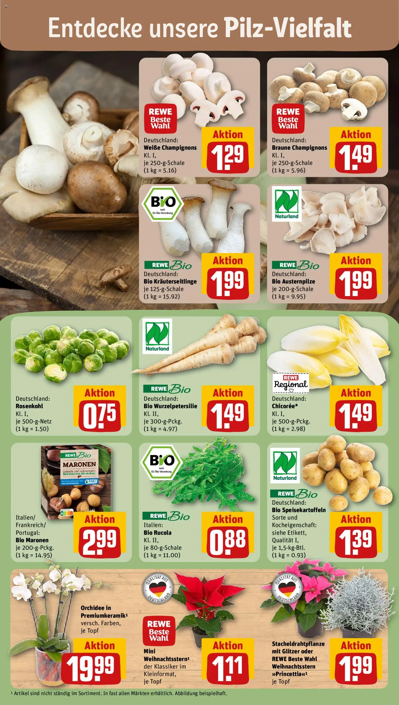 Rewe Prospekt 	 – gültig ab 03.11.2025 | Seite: 7 | Produkte: Orchidee, Rucola, Champignons