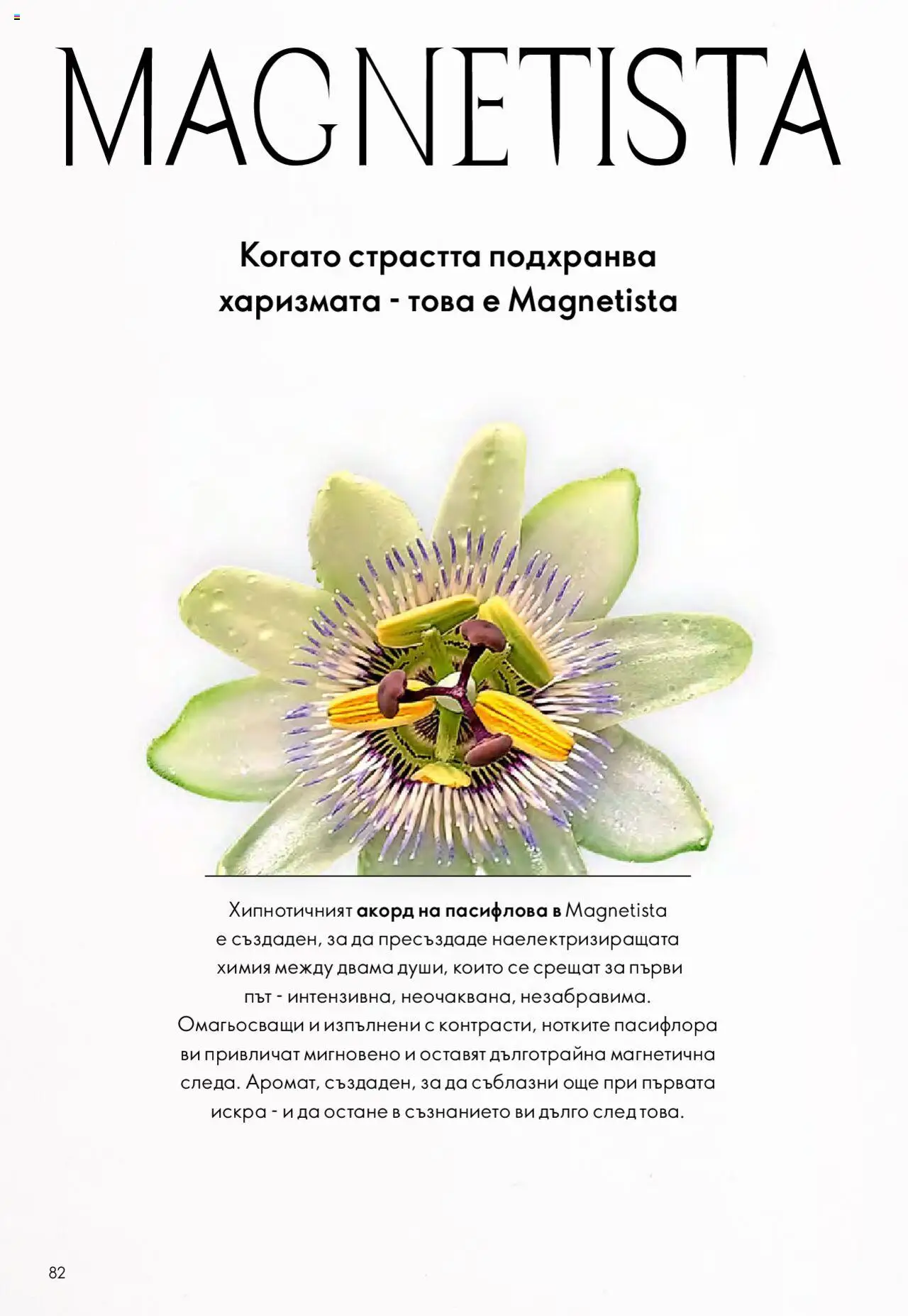  | Страница: 82