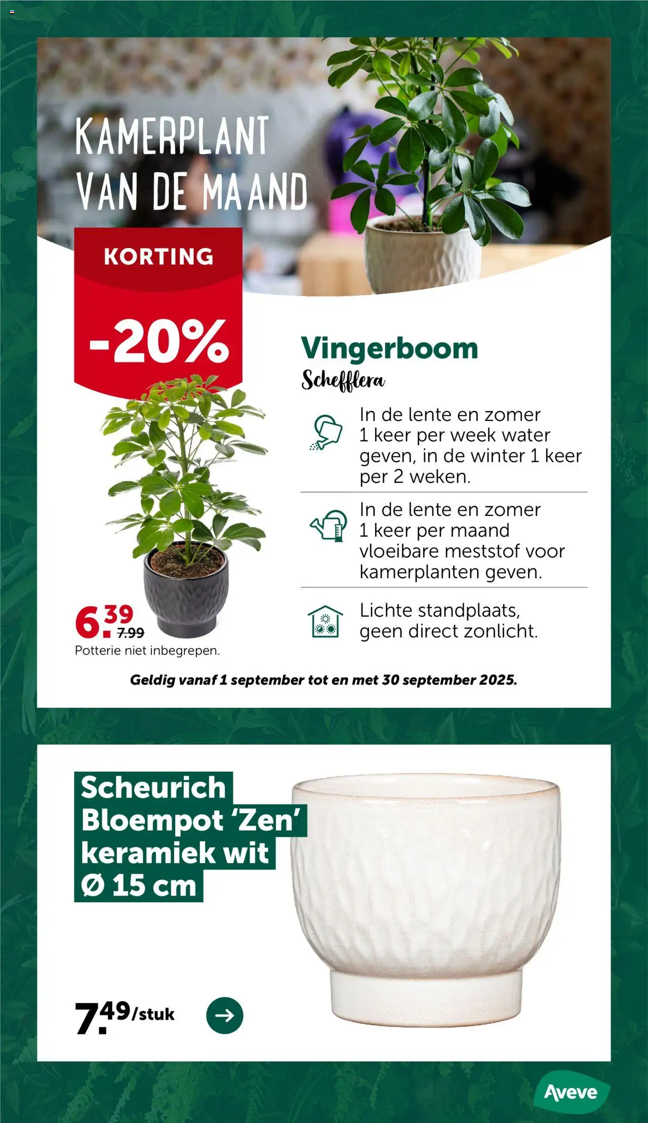  | Pagina: 8 | Producten: Kamerplanten, Keramiek