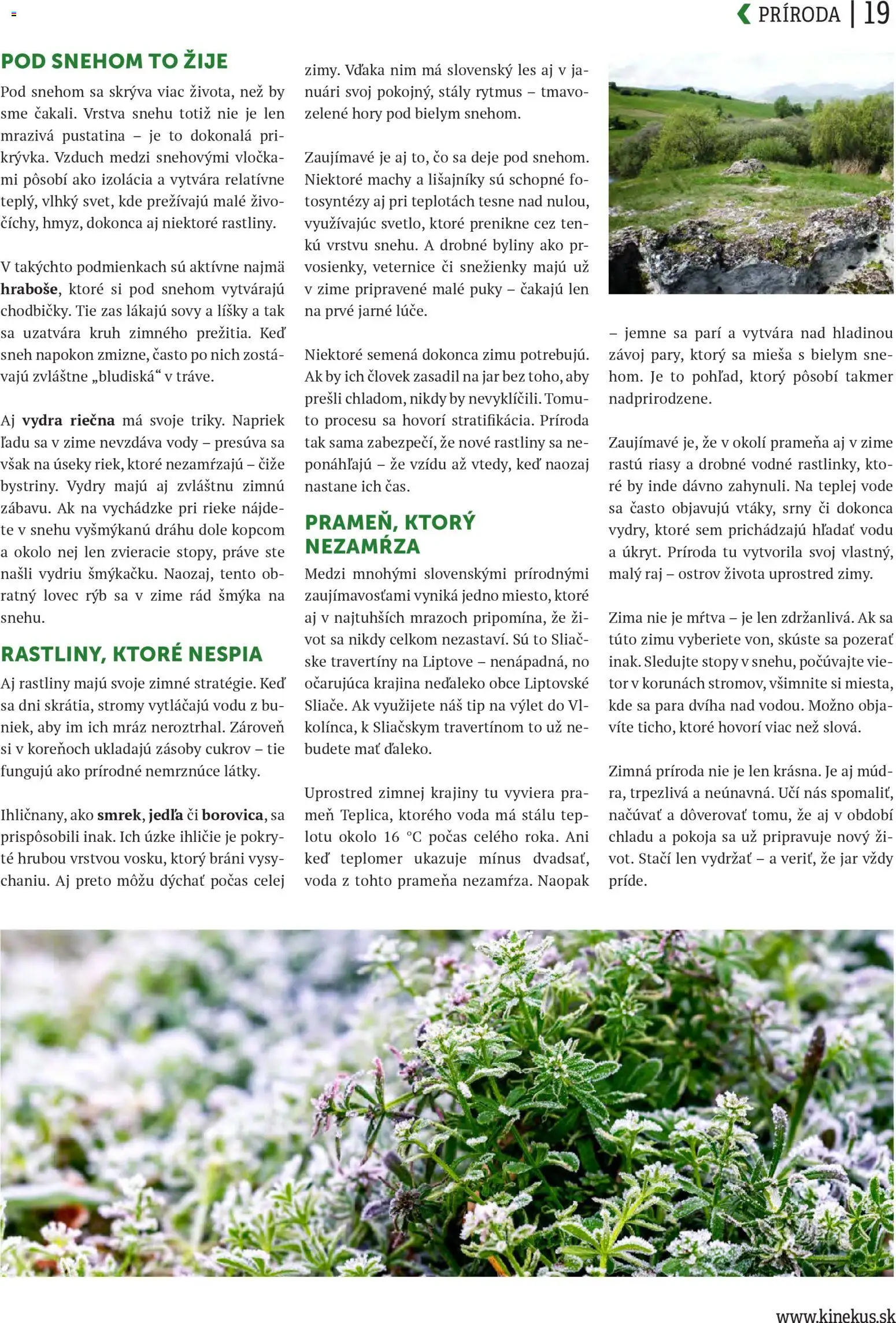Nové Kinekus akcie – leták je platný od 15.12.2025 | Strana: 19 | Produkty: Teplomer, Voda, Jar