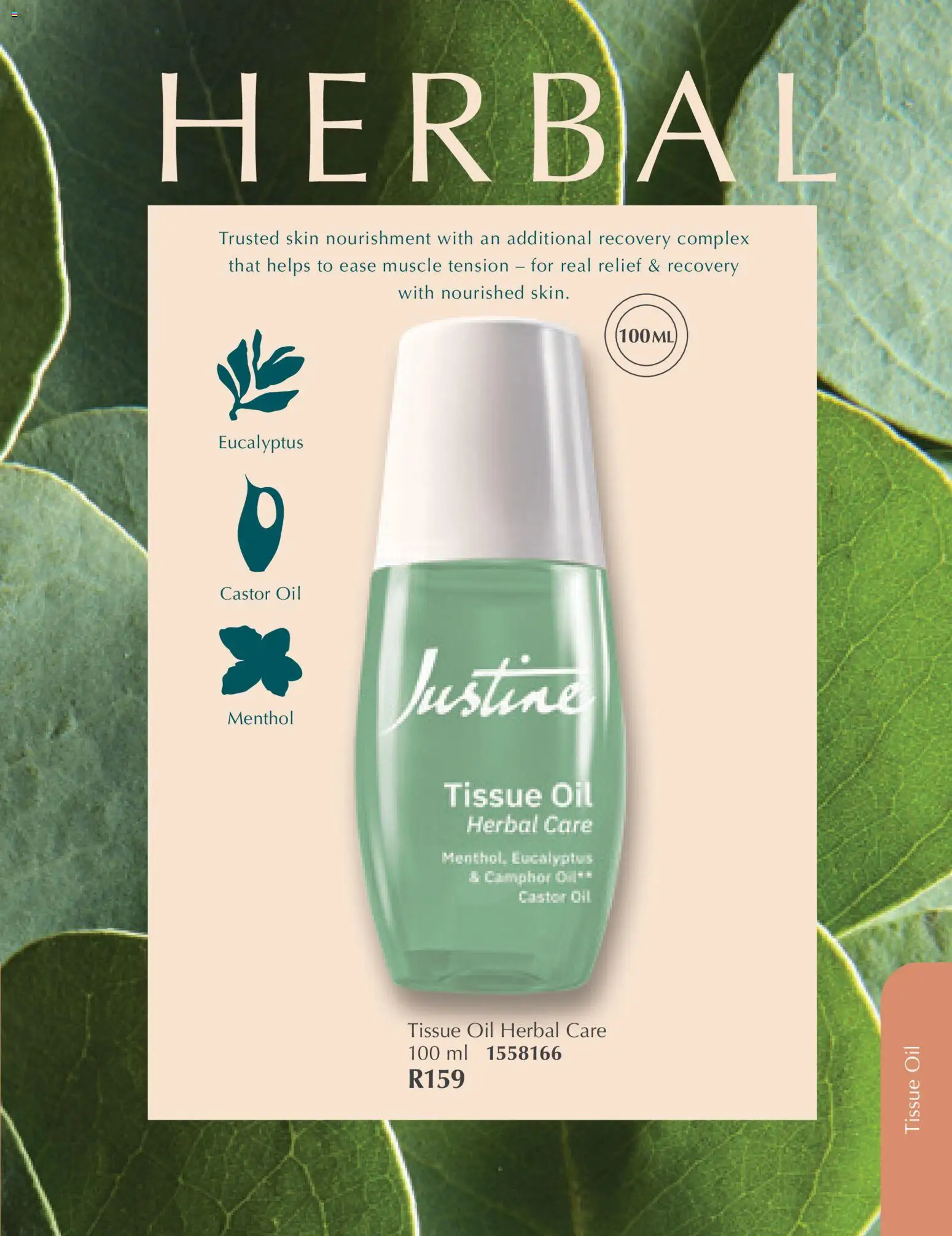 New Justine catalogue – valid from 01.03.2026 | Page: 13 | Products: Tissue oil, Oil