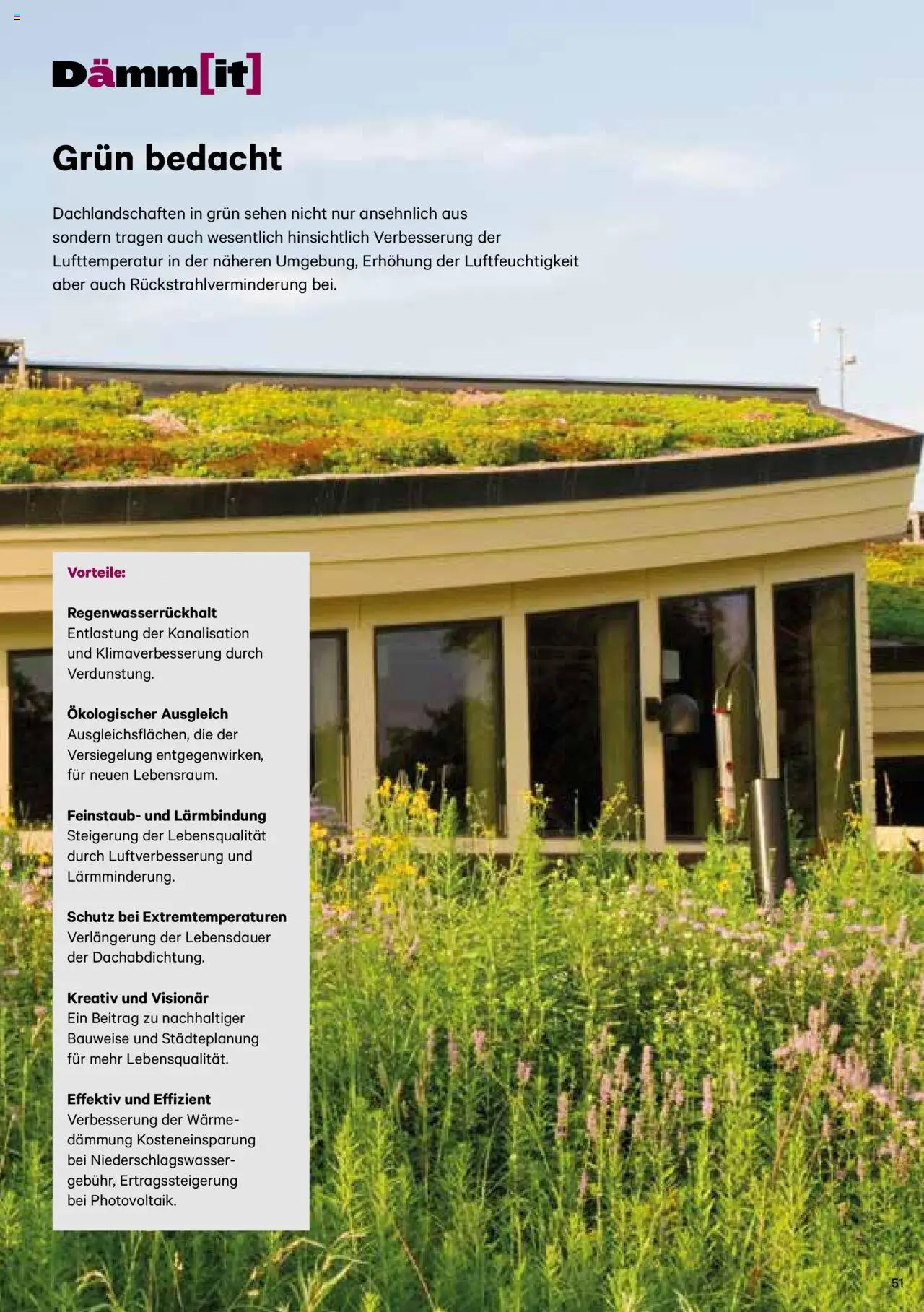 Lagerhaus Dämm[it] Katalog 2025 gültig ab 08.01.2025 | Seite: 51