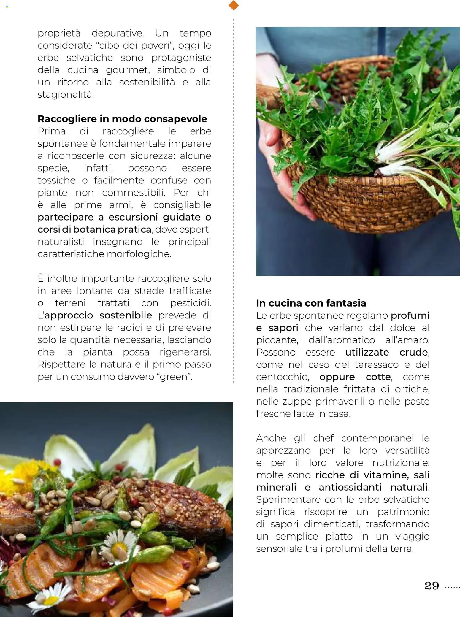 Volantino Gulliver del 31.10.2025 | Pagina: 29 | Prodotti: Piatto