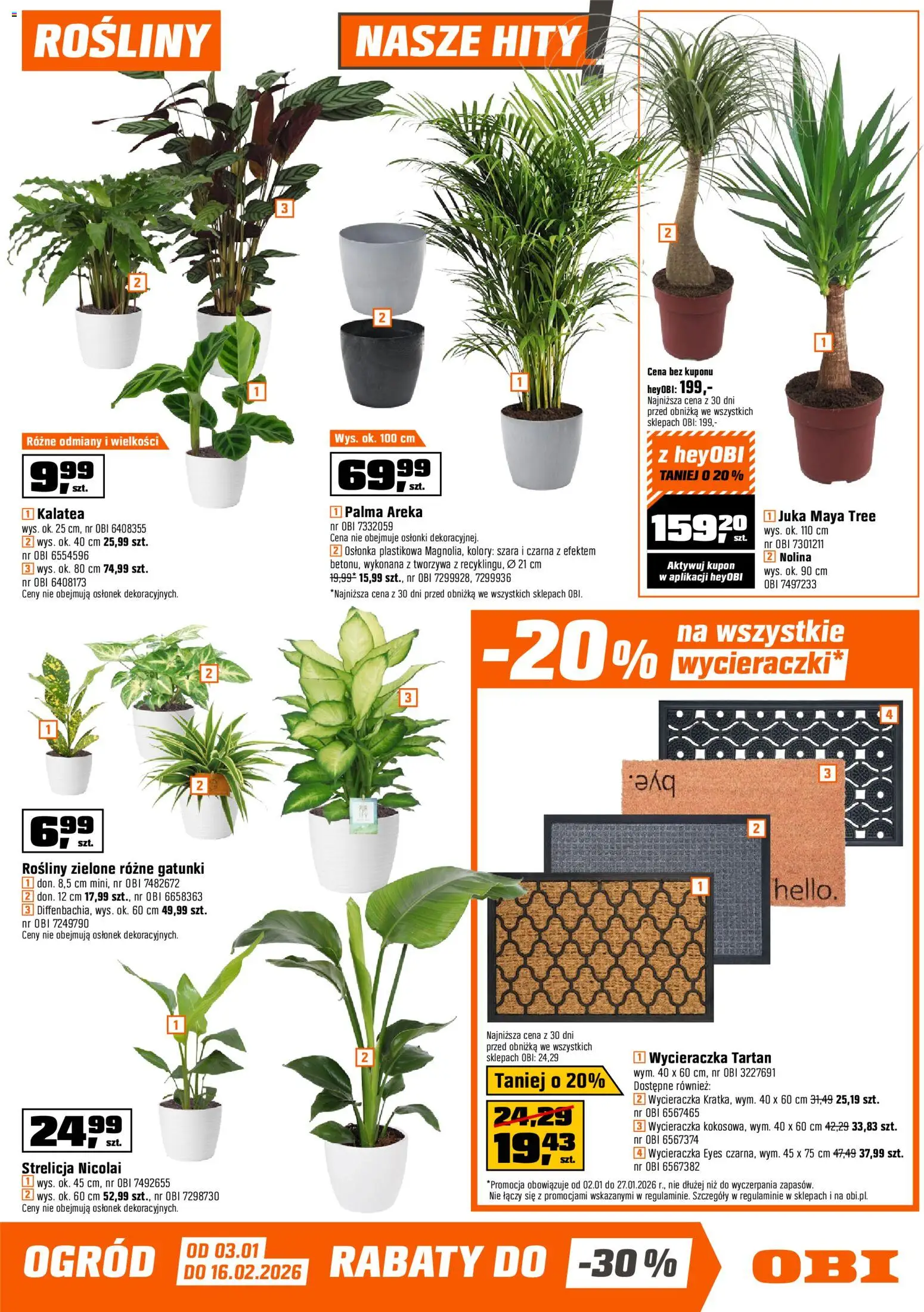 OBI Gazetka od 02.01.2026 | Strona: 5 | Produkty: Kalatea, Juka, Wycieraczka, Rosliny
