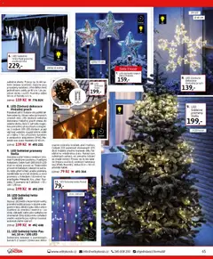 Náhled letáku Velký Košík katalog leden 2026 od 01.01.2026 | Strana: 65 | Produkty: Zápich, Světýlka, LED, Dekorace