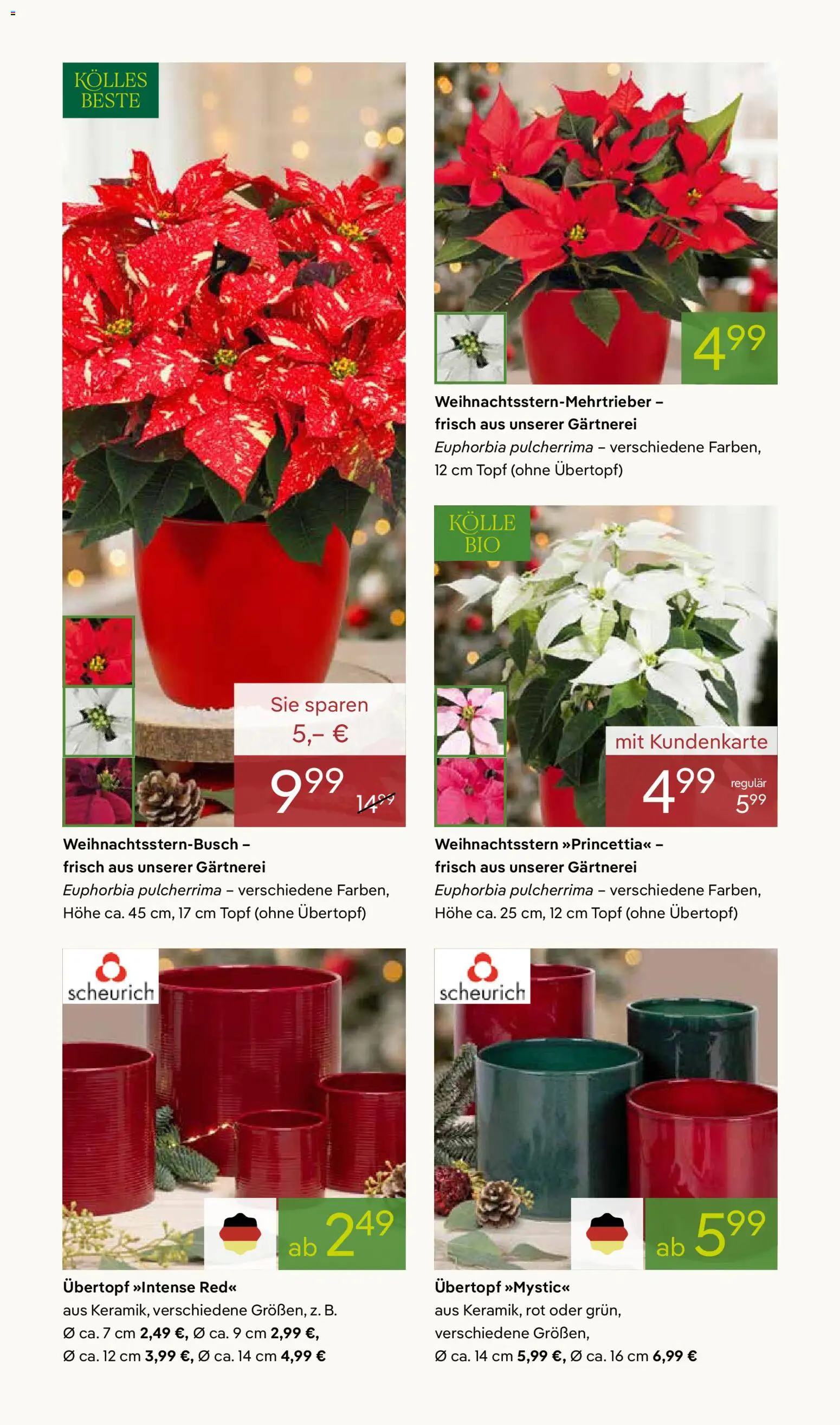 Pflanzen-Kölle Prospekt 	 – gültig ab 17.11.2025 | Seite: 2