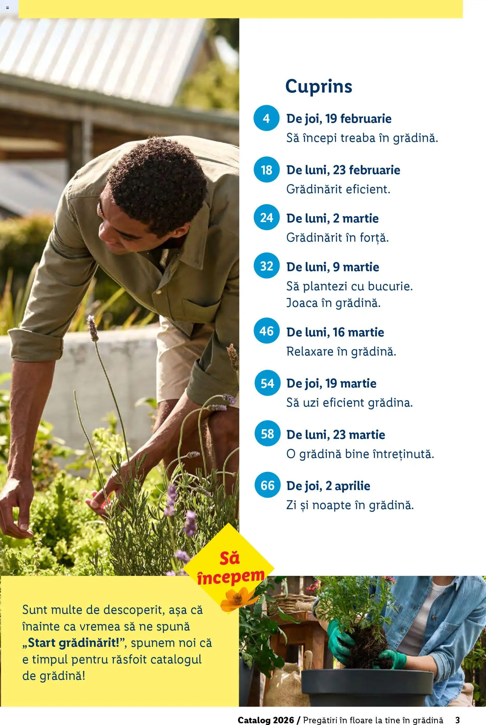 Noul catalog Lidl – valabil de la 19.02.2026 | Pagină: 3