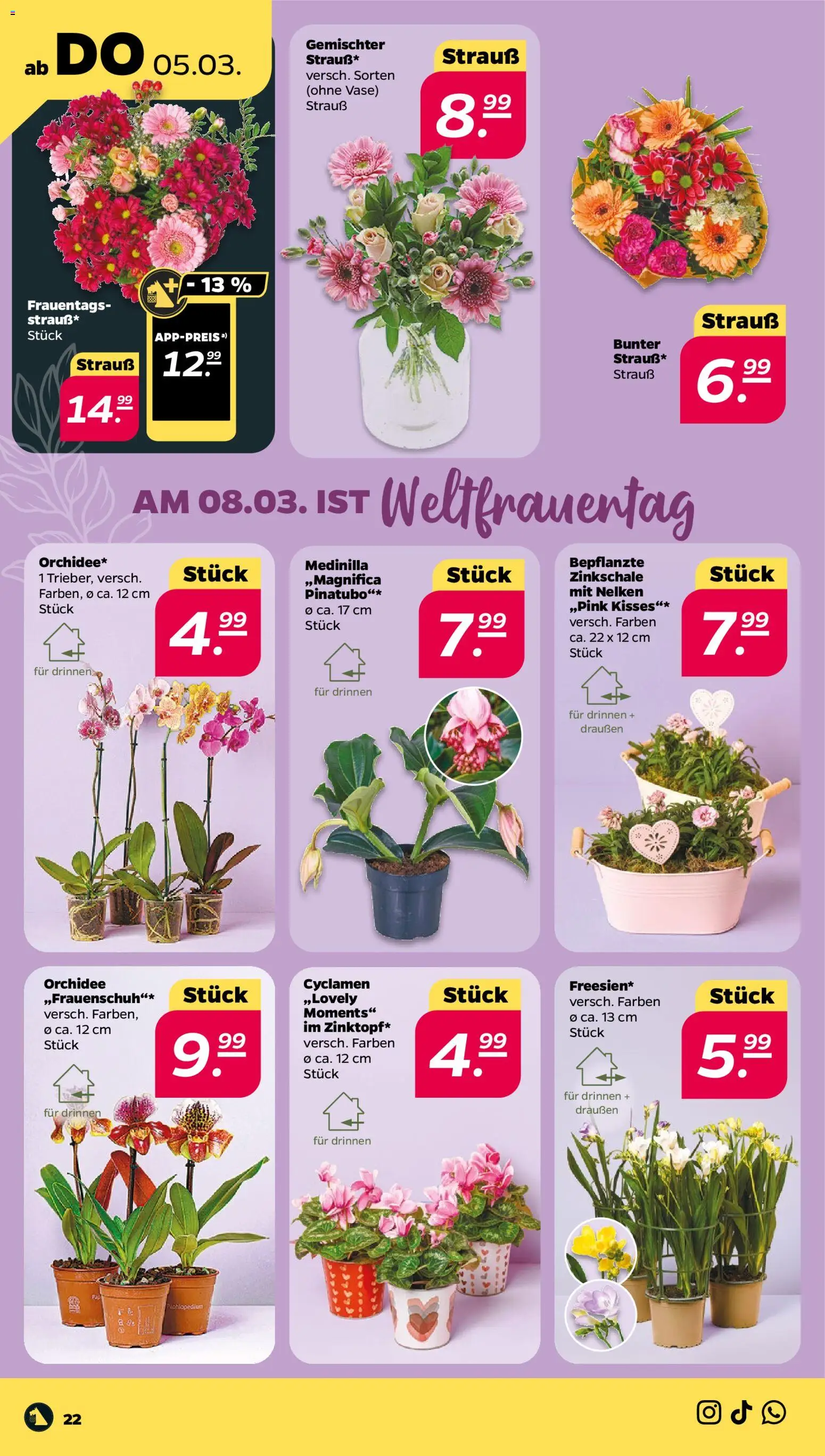 Netto Prospekt 	 – gültig ab 02.03.2026 | Seite: 26 | Produkte: Orchidee, Vase