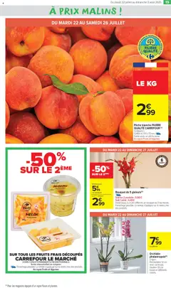  | Page: 23 | Produits: Melon, Pêche, Orchidée, Ananas
