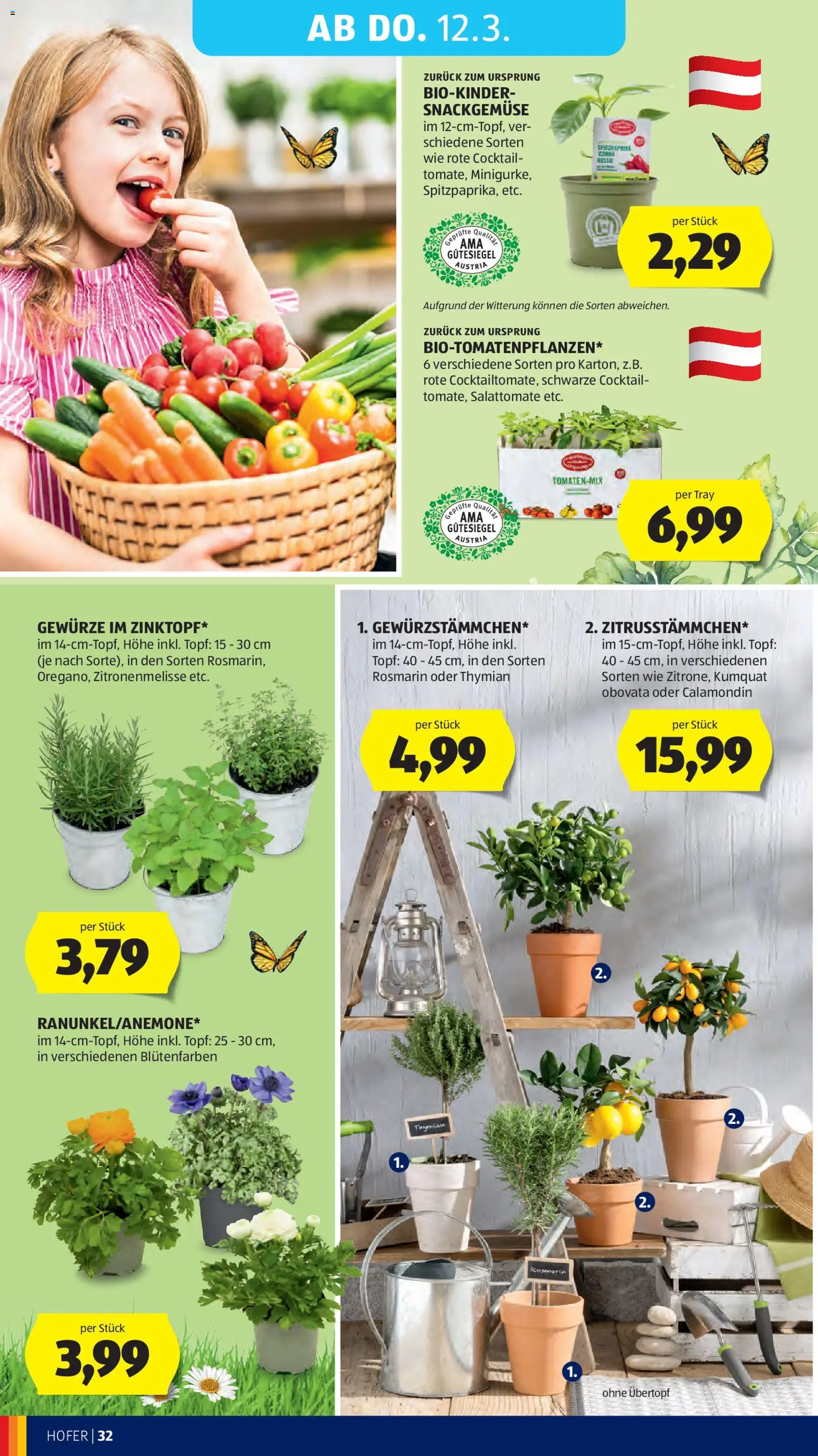 Hofer Flugblatt gültig ab 04.03.2026 | Seite: 40 | Produkte: Gewürze