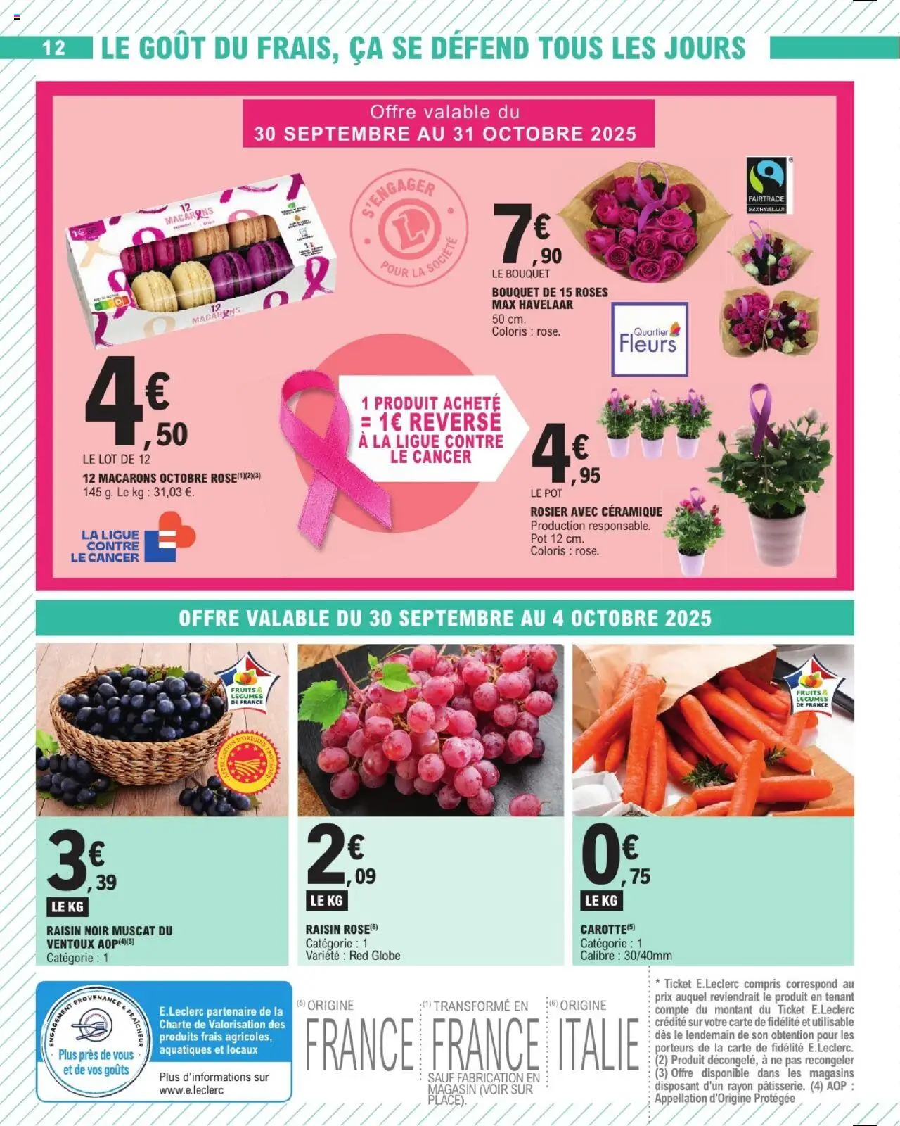 {H1} | Page: 12 | Produits: Rosier, Raisin, Macarons, Carotte